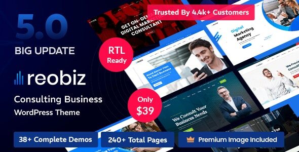 Reobiz Consulting WordPress Theme