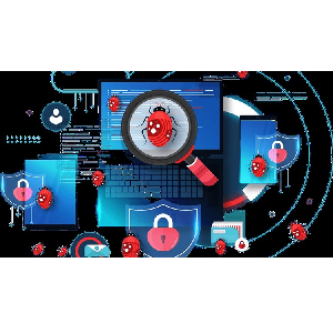 web application bug bounty