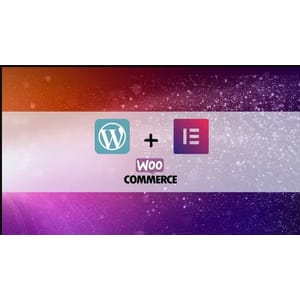 wordpress elementor ecommerce website design