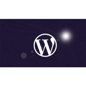 wordpress website basics